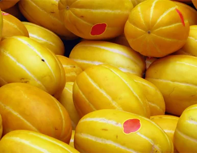 Miniatura: "Poproszę dwa melony". "Należy się 43...