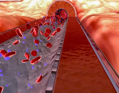 Miniatura: Bezpieczna terapia bez odstawiania...