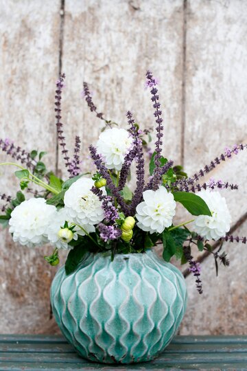 Bazylia kwiatowa Kwitnąca bazylia