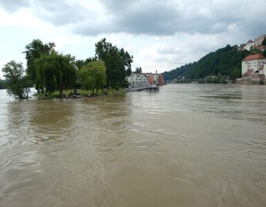 Miniatura: Polska ciągle nie jest gotowa na powódź