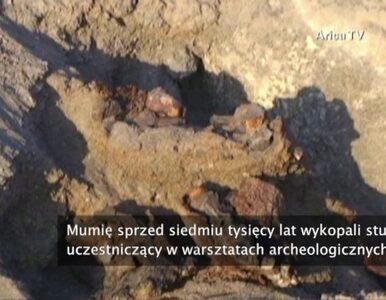 Miniatura: Studenci odkryli mumię sprzed 7 tys. lat