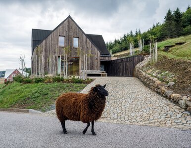 Miniatura: Minimalizm, drewno i widok na Śnieżkę. Tak...
