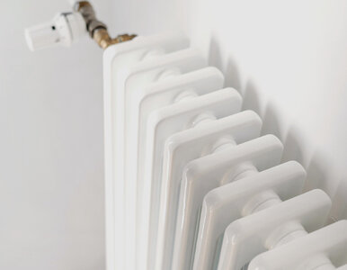 Miniatura: Zaniedbane kaloryfery? Oto jak je...