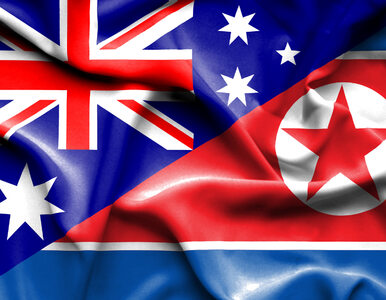 Miniatura: Australijczycy pomimo sankcji handlowali z...