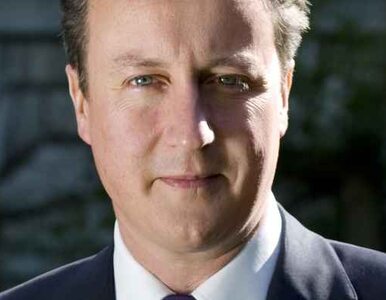 Miniatura: Cameron: walczmy z terroryzmem żyjąc...