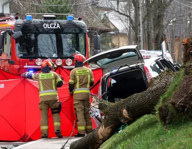 Miniatura: Pięć osób zginęło w Tatrach przez halny....