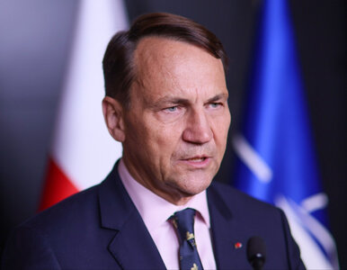 Miniatura: Sikorski: Nie będę ściemniał, że nie może...