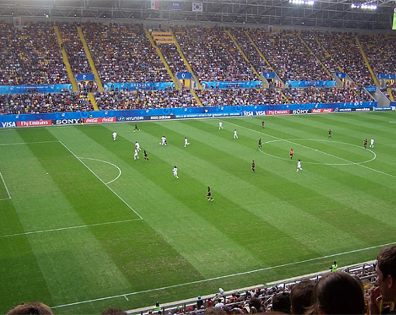 Miniatura: Irlandzki kibic usiadł na ławce Estonii....