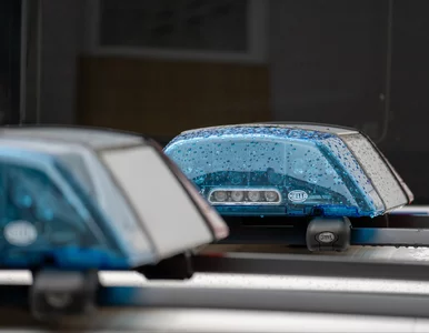 Miniatura: Wypadek na Węgrzech. Sąd zdecydował ws....
