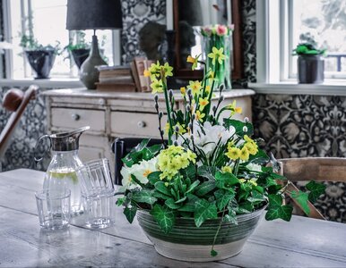 Miniatura: Polki zwariowały na punkcie tych kwiatów....