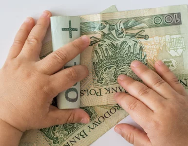 Miniatura: 400 zł dodatku do zasiłku rodzinnego. Ale...