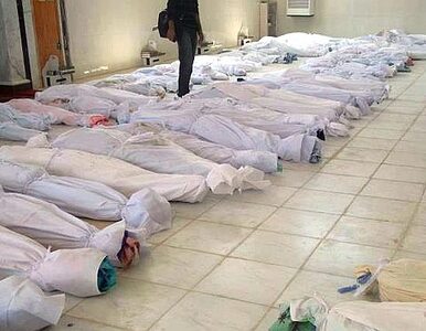 Miniatura: "Za masakrę w Syrii odpowiada wojsko i...