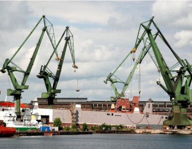 Miniatura: Ministerstwo chce odbudować polską flotę...