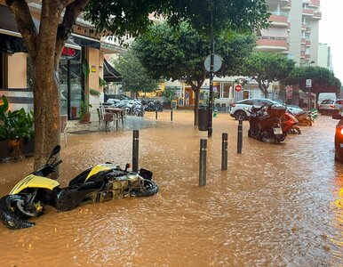 Miniatura: Powodzie na Ibizie i Formenterze....
