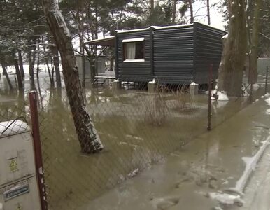 Miniatura: Niepokojąca sytuacja w Płocku. Woda zalewa...