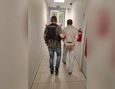 Miniatura: Profanacja figury Matki Bożej w Pruszczu...