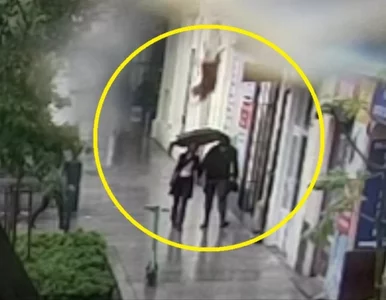 Miniatura: Pies wyskoczył z okna w Lublinie. Spadł na...