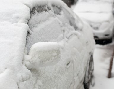 Miniatura: Mroźna noc i 10-latek w pułapce. Szokujące...