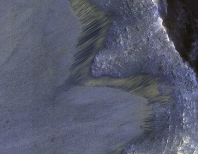 Miniatura: Lawiny błotne na Marsie. Naukowcy mają...