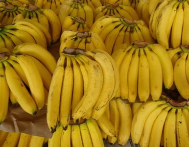 Miniatura: 10 tysięcy dolarów kary za... banana
