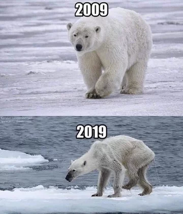 Odpowiedź ekologów na „10 years challenge” 