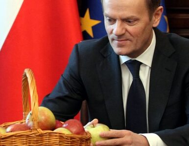 Miniatura: Tusk: GMO jest jak ACTA. Chcemy powiedzieć...