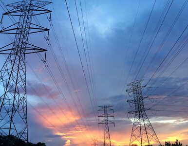 Energia elektryczna – ile zapłacimy za prąd w 2020 roku?