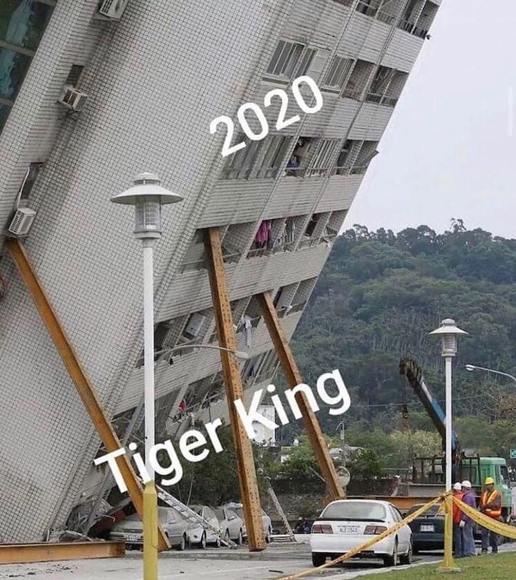 Mem nawiązujący do dokumentu „Król tygrysów” 