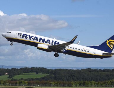 Miniatura: Ryanair uruchamia nowe połączenie krajowe...