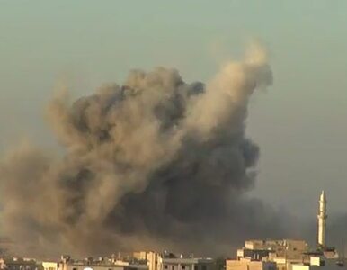 Miniatura: Syria: rebelianci zestrzelili myśliwiec...