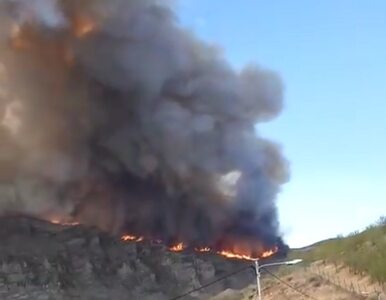 Miniatura: Ogromne pożary na wyspie Gran Canaria....