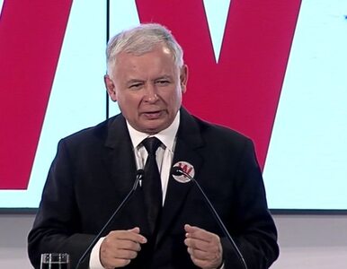 Miniatura: Kaczyński: nie możemy dać się zastraszyć