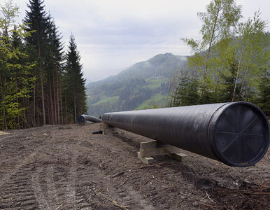 Miniatura: Gazociąg Baltic Pipe dostał zielone...