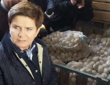 Miniatura: Szydło atakuje PSL: Zajmowali się własnymi...