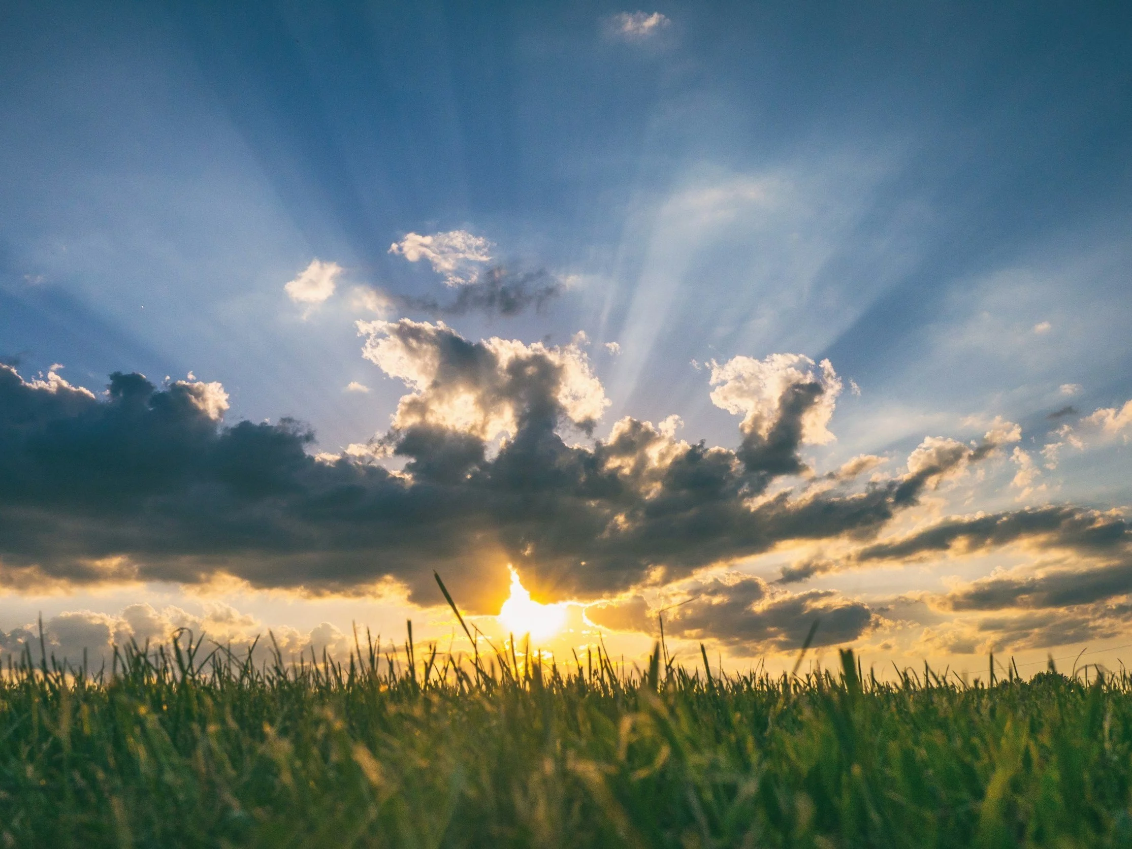 TEST. Która pora dnia najlepiej cię opisuje?