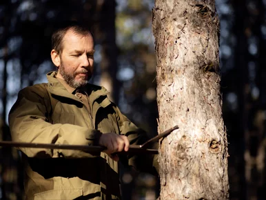 Miniatura: Teraz możesz legalnie wyciąć drzewo – ale...