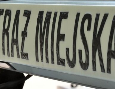 Miniatura: Od rana do popołudnia jest komendantem...