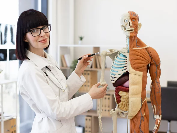 Miniatura: QUIZ z anatomii. Nie wiesz tego o ludzkim...