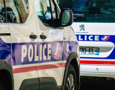 Miniatura: Francuzka ukrywała przed światem istnienie...