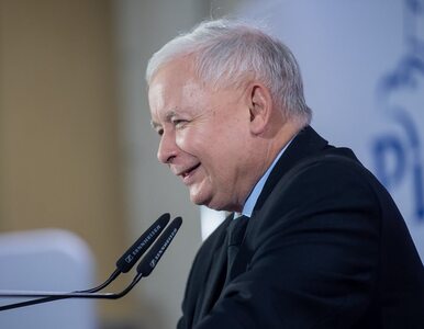 Miniatura: Kaczyński: Piotrowicz był w PZPR, ale...