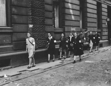 Miniatura: Powstanie Warszawskie. Wzięło w nim udział...