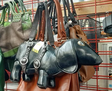 Coś dla fanów psów 