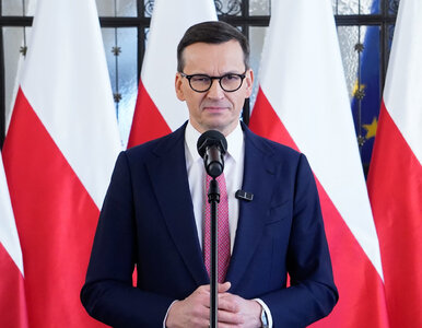 Miniatura: Morawiecki kupił atrakcyjną działkę za...