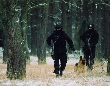 Miniatura: Elita kryminałów na Netflix. To teraz...