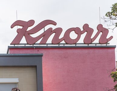 Miniatura: Knorr zmienia nazwę swojego produktu. „Sos...