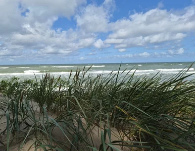 Miniatura: Złe wieści dla plażowiczów. Zawisły...