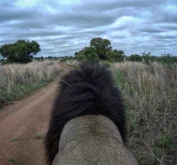 Rezerwat przyrody w RPA 