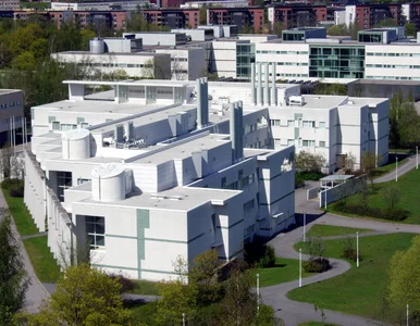 Miniatura: Naukowcy szukali przyczyny jąkania....