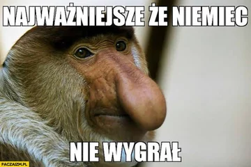 Memy po meczu Polska-Anglia 