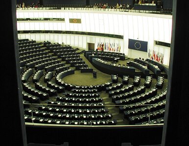 Miniatura: Parlament Europejski poparł Euromajdan i...